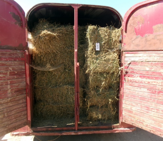 67- 50# 2ND CUTTING ALFALFA SMALL SQ. BALES (67 X your bid)