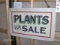 Plant Sale Sign