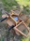 (3) Tennis Rackets, Spaulding & Cortland