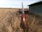 Mayrath Auger