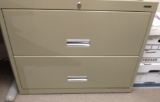 2 Drawer Legal File Cabinet