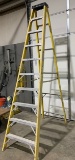 Werner 10' Step Ladder