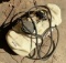 Fimco ATV Sprayer