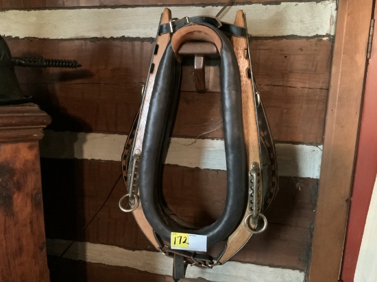 Mule Collar and Hanes