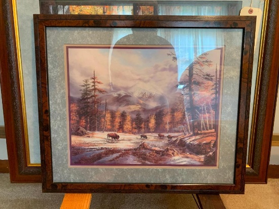 Framed Nature Pictures-(6 total)