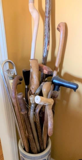 Variety of Walking Canes