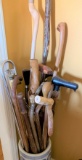 Variety of Walking Canes