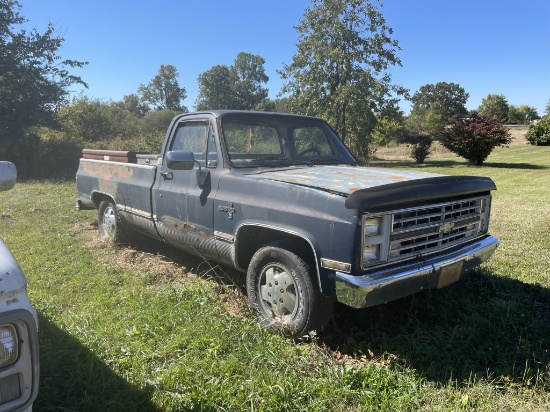 1987 Chevy Pickup Truck