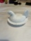 White Hen on Nest