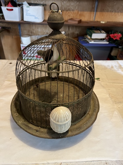 Bird Cage