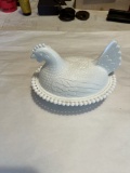 White Hen on Nest