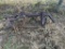 1 Row Cultivator
