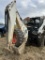 Bobcat Backhoe