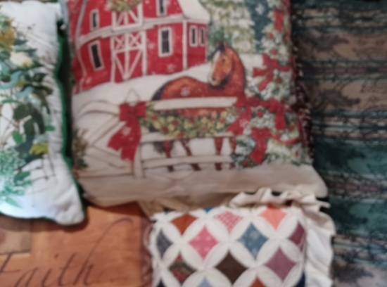 Pillows & Pillow Covers