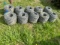 Rolls of Barbwire