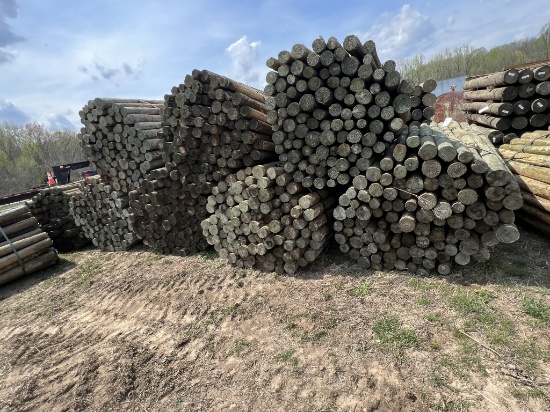 3" x 6.5' Posts (100 per bundle)