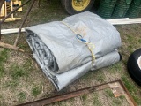 Tarp