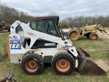 Bobcat