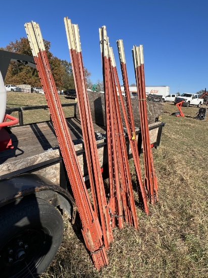6' T Posts (31)