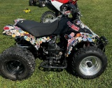 Suzuki 4 Wheeler