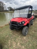 Kawaski Mule
