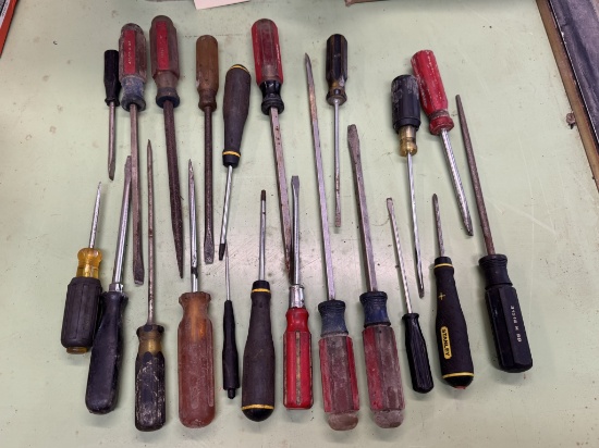 Screwdriver Lot