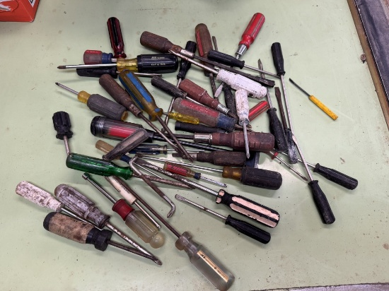 Screwdriver Lot