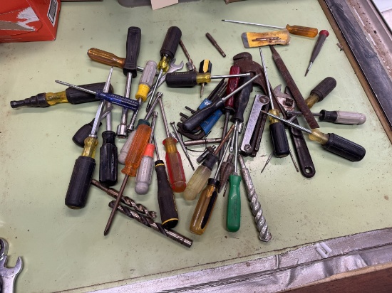 Screwdriver Lot
