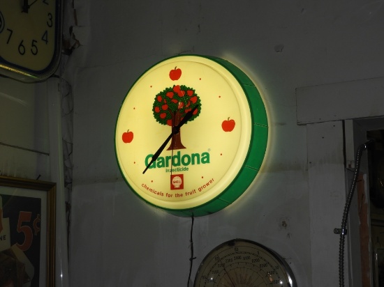 Gordona Shell Insecticide clock, 16"
