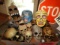 Group of skull collectibles