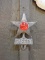 Safety license plate topper w/ star