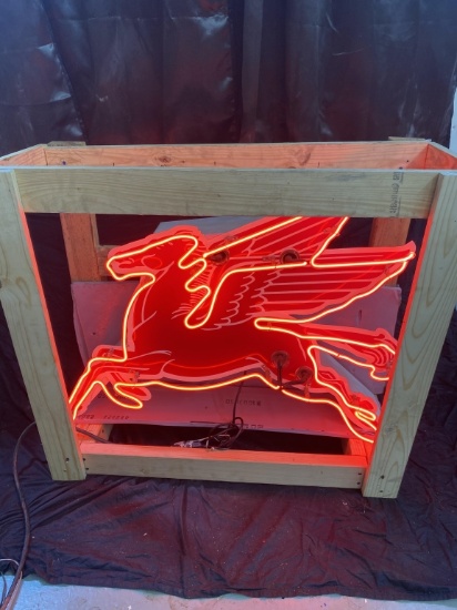 Pegasus neon, 40x36x8