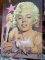 Marilyn Monroe picture, 20x18