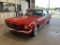 1966 Ford Mustang NO RESERVE!