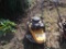 Cub Cadet ST100 Weed Trimmer