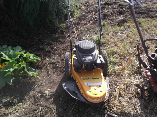 Cub Cadet ST100 Weed Trimmer