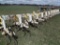 Dakon Cultivator