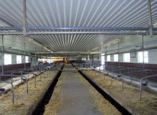 Milking Equipment - Stainless Steel Milk Line, Milking Units, Etc.!