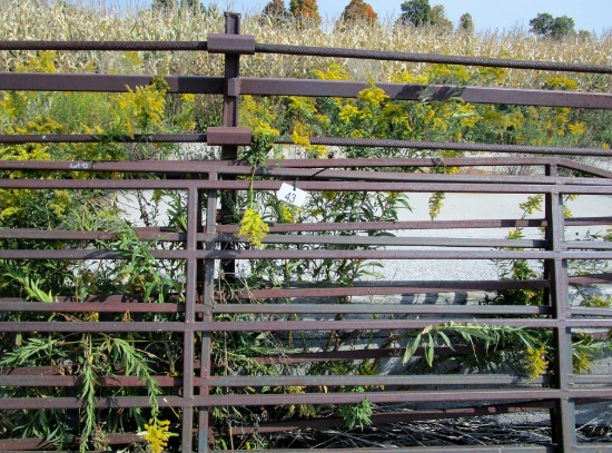 Square Tube Gates!