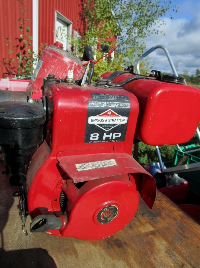 Briggs & Stratton Engine!