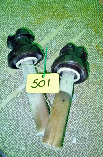 Insulators with Wood Pegs!