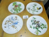 M.G. Loates Decorative Bird Plates!