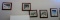Signed Robert Bateman Prints!