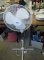 Fan!