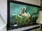 Framed Picture!