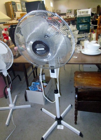 Fan!