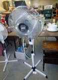 Fan!