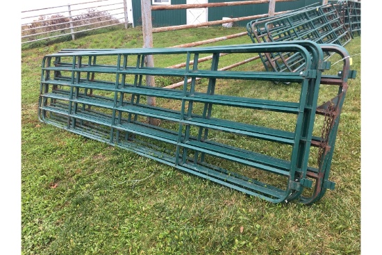 16' Diamond Gates