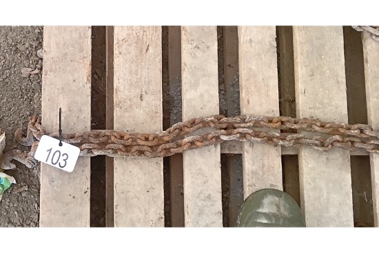 Chain