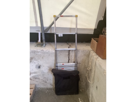 Collapsible 12' Ladder